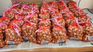 조새힘님의 작성글 사진