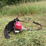 팜모닝 감·영농일지 게시글 이미지