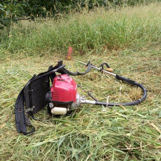 박철용 님의 감 · 영농일지 작성글 사진