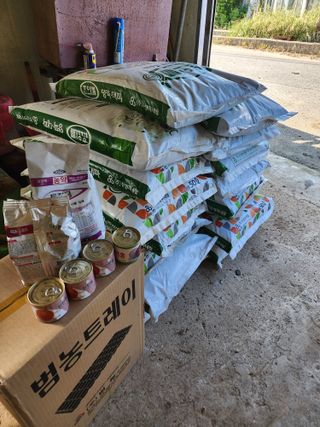 박정석님의 양파 · 영농일지 작성글 사진