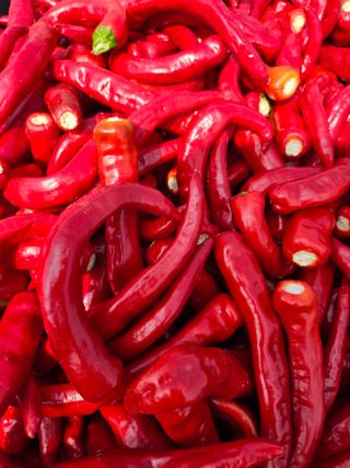 김덕조님의 고추 · 영농일지 작성글 사진