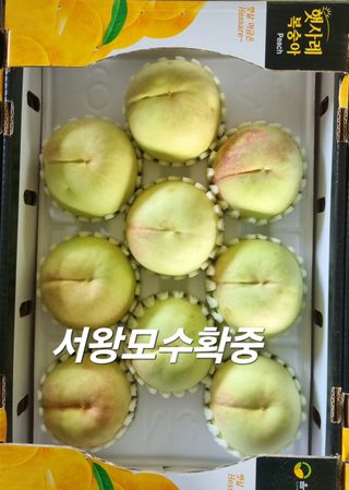 햇사레맨(이용삼)님의 복숭아 · 영농일지 작성글 사진