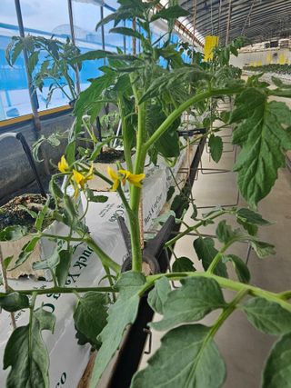 김민식 님의 작성글 사진