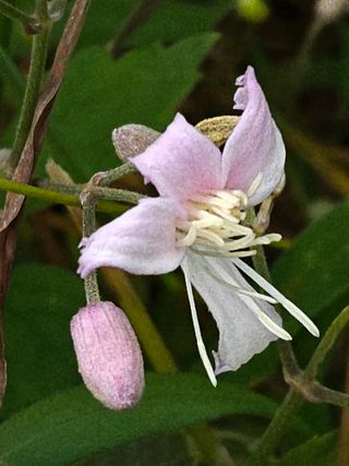 두메농원님의 기타작물 · 영농일지 작성글 사진