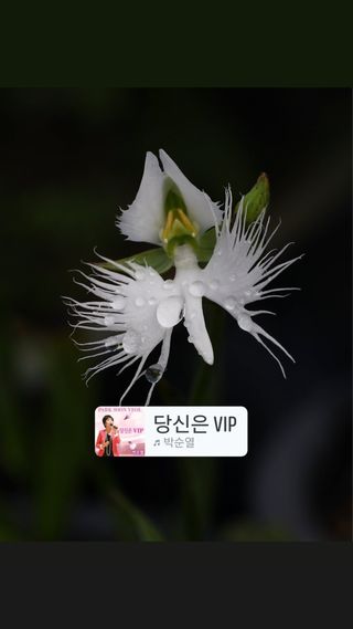 두메농원님의 기타작물 · 영농일지 작성글 사진