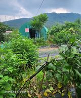 팜모닝 고추·영농일지 게시글 이미지