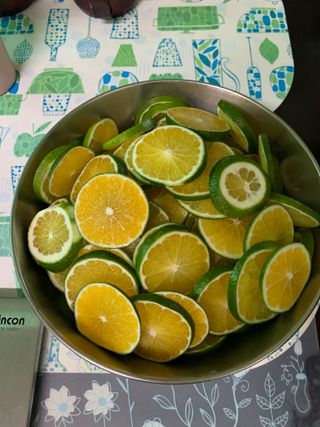 쭈야네농장님의 귤 · 영농일지 작성글 사진