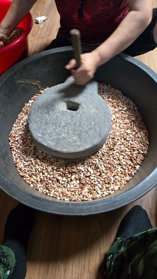 영월산지기148님의 배추 · 영농일지 작성글 사진