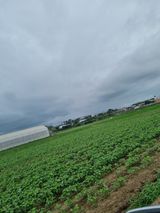 팜모닝 콩·영농일지 게시글 이미지