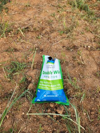 안산제일농약사님의 상추 · 영농일지 작성글 사진