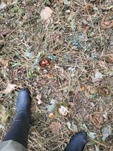 팜모닝 자유주제·자유게시판 게시글 이미지