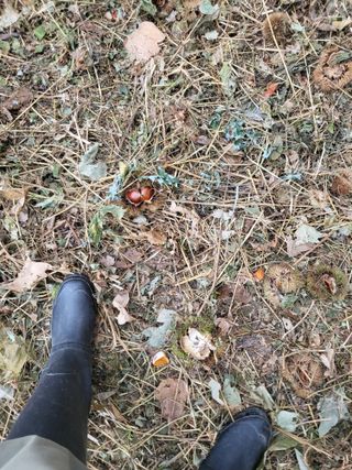 선식물원.선조경.이선님의 자유주제 · 자유게시판 작성글 사진