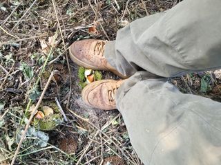 선식물원.선조경.이선님의 자유주제 · 자유게시판 작성글 사진