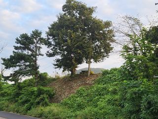 선식물원.선조경.이선님의 자유주제 · 자유게시판 작성글 사진