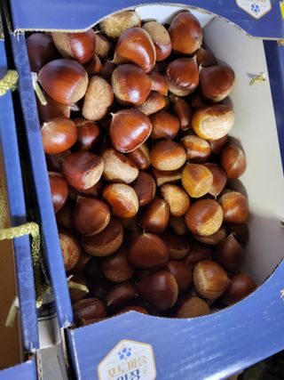 선식물원.선조경.이선님의 자유주제 · 자유게시판 작성글 사진