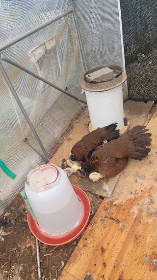 최대식님의 작성글 사진