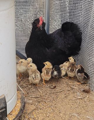 최대식님의 작성글 사진