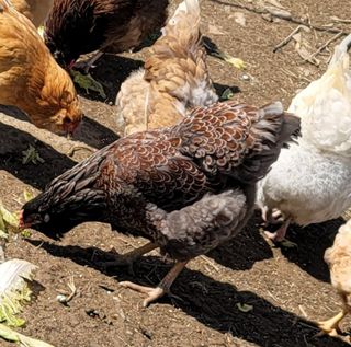 최대식님의 작성글 사진