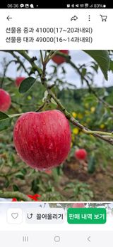 팜모닝 자유주제·자유게시판 게시글 이미지