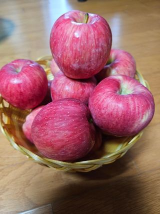 스마일님의 자유주제 · 자유게시판 작성글 사진