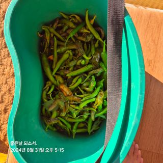 김진님의 자유주제 · 자유게시판 작성글 사진