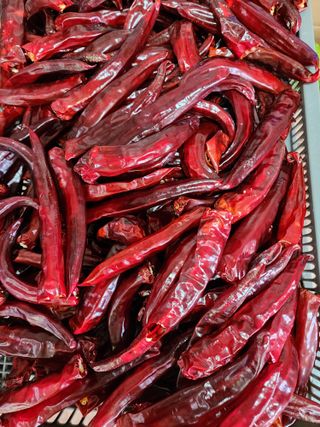 조선된장님의 고추 · 영농일지 작성글 사진