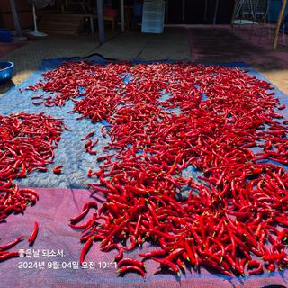 김진님의 자유주제 · 자유게시판 작성글 사진