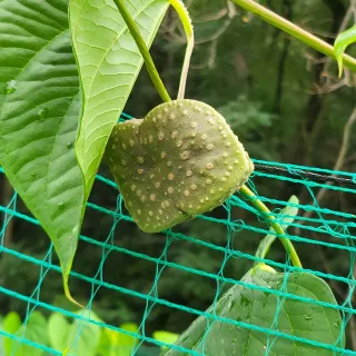 손영국님의 작성글 사진