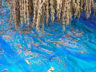 마중물0715님의 9월 농사계획 공유하기 · 참여글 작성글 사진