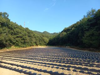 혜향님의 9월 농사계획 공유하기 · 참여글 작성글 사진