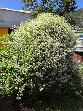 좋은인연원님의 자유주제 · 사진전 작성글 사진