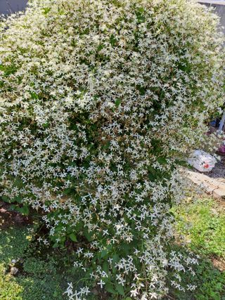 좋은인연원님의 자유주제 · 사진전 작성글 사진
