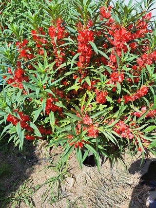 좋은인연원님의 자유주제 · 사진전 작성글 사진