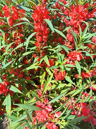 좋은인연원님의 자유주제 · 사진전 작성글 사진