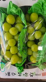 팜모닝 포도·영농일지 게시글 이미지