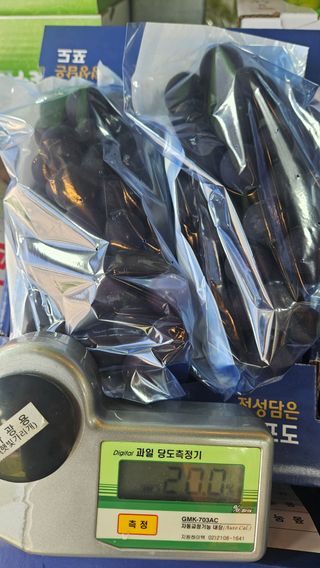 송석원님의 포도 · 영농일지 작성글 사진