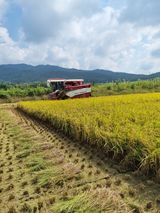 팜모닝 9월 농사계획 공유하기·참여글 게시글 이미지