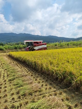 강순덕님의 9월 농사계획 공유하기 · 참여글 작성글 사진