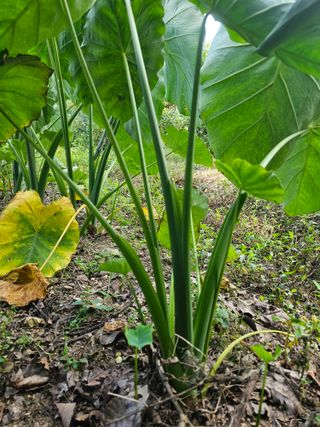 farmer님의 자유주제 · 자유게시판 작성글 사진