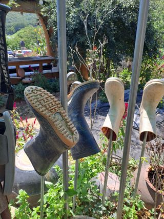 정강화님의 자유주제 · 자유게시판 작성글 사진