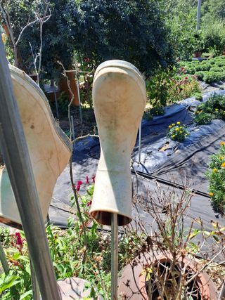 정강화님의 자유주제 · 자유게시판 작성글 사진