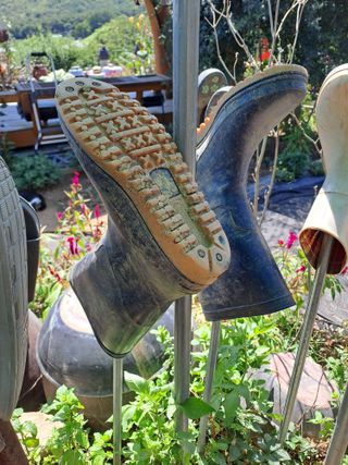 정강화님의 자유주제 · 자유게시판 작성글 사진