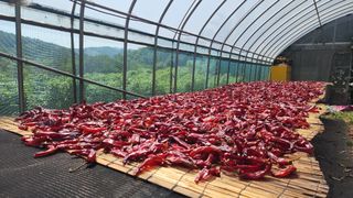 이종열님의 자유주제 · 자유게시판 작성글 사진