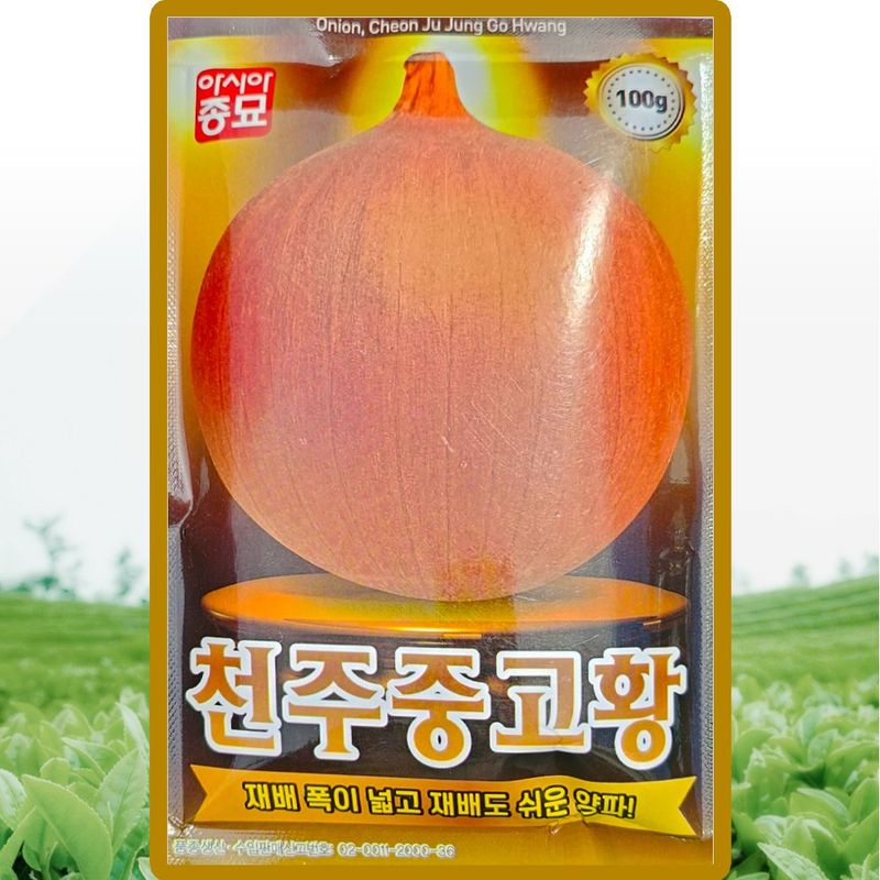 장터 상품 [아시아종묘 천주중고황 양파 씨앗 100g 중만생종 황양파씨 종자] 썸네일
