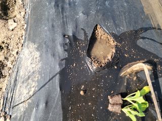 화양청정계곡농장님의 자유주제 · 자유게시판 작성글 사진