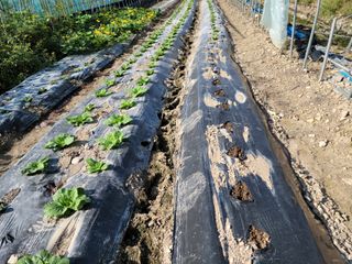 화양청정계곡농장님의 자유주제 · 자유게시판 작성글 사진