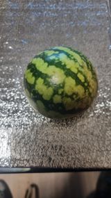 팜모닝 자유주제·자유게시판 게시글 이미지