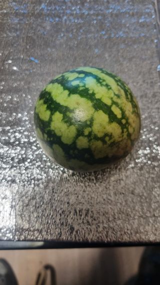 이천용님의 자유주제 · 자유게시판 작성글 사진