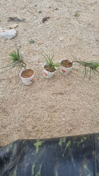 이천용님의 자유주제 · 자유게시판 작성글 사진