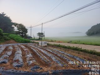 조현미님의 9월 농사계획 공유하기 · 참여글 작성글 사진